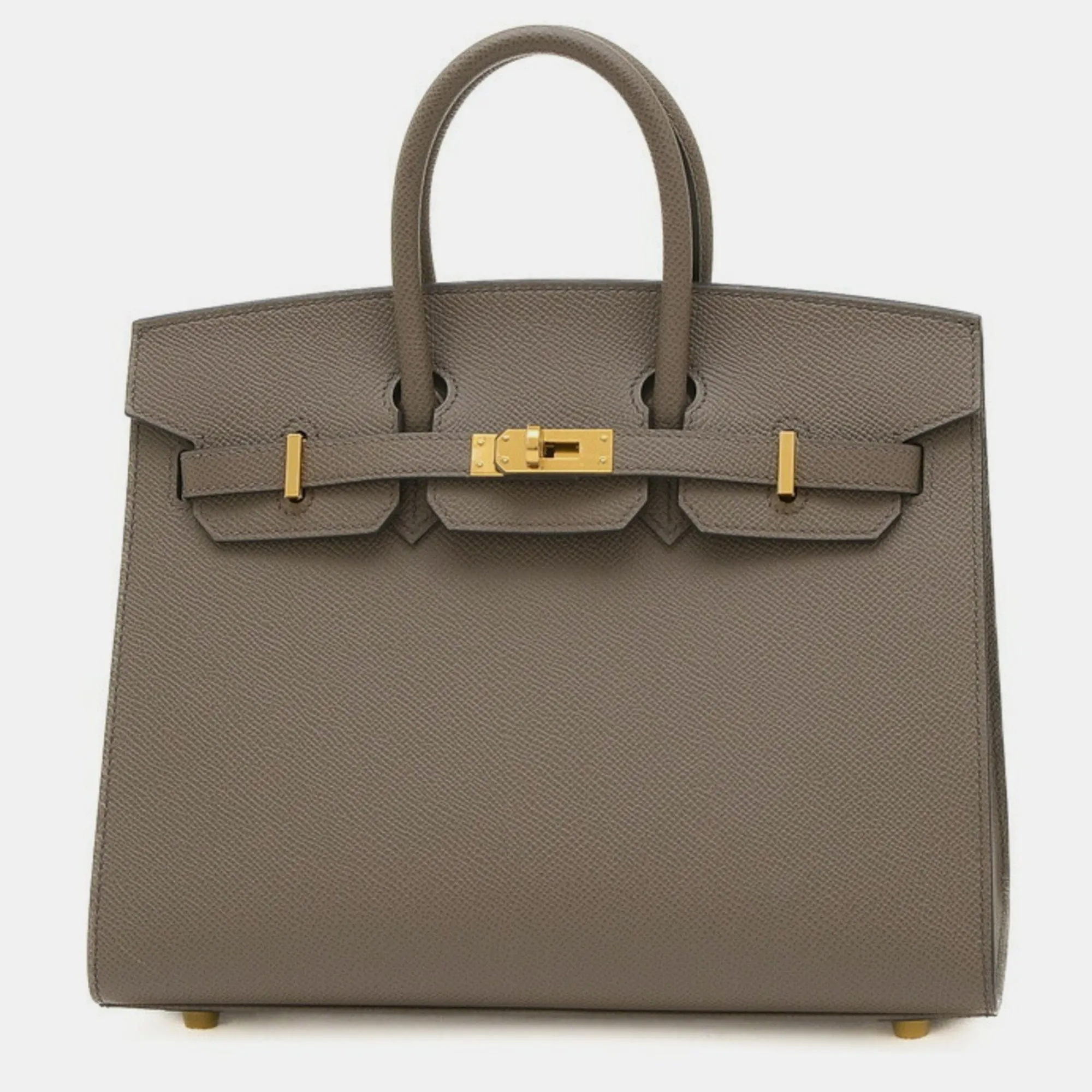 Etain Epson Birkin 25 Handbag