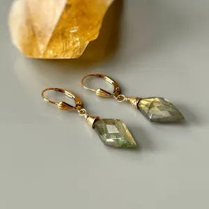 Labradorite Earrings Gold Lever back