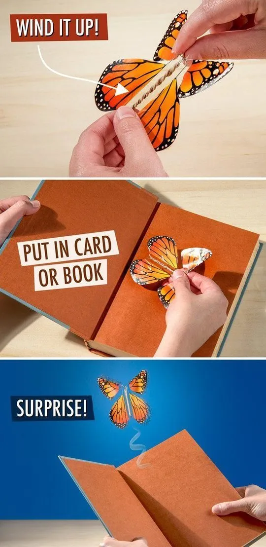 The magic butterfly